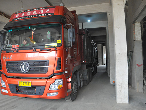 金典風(fēng)采6